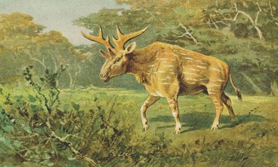 Sivatherium um 1900 von Alfred Brehm